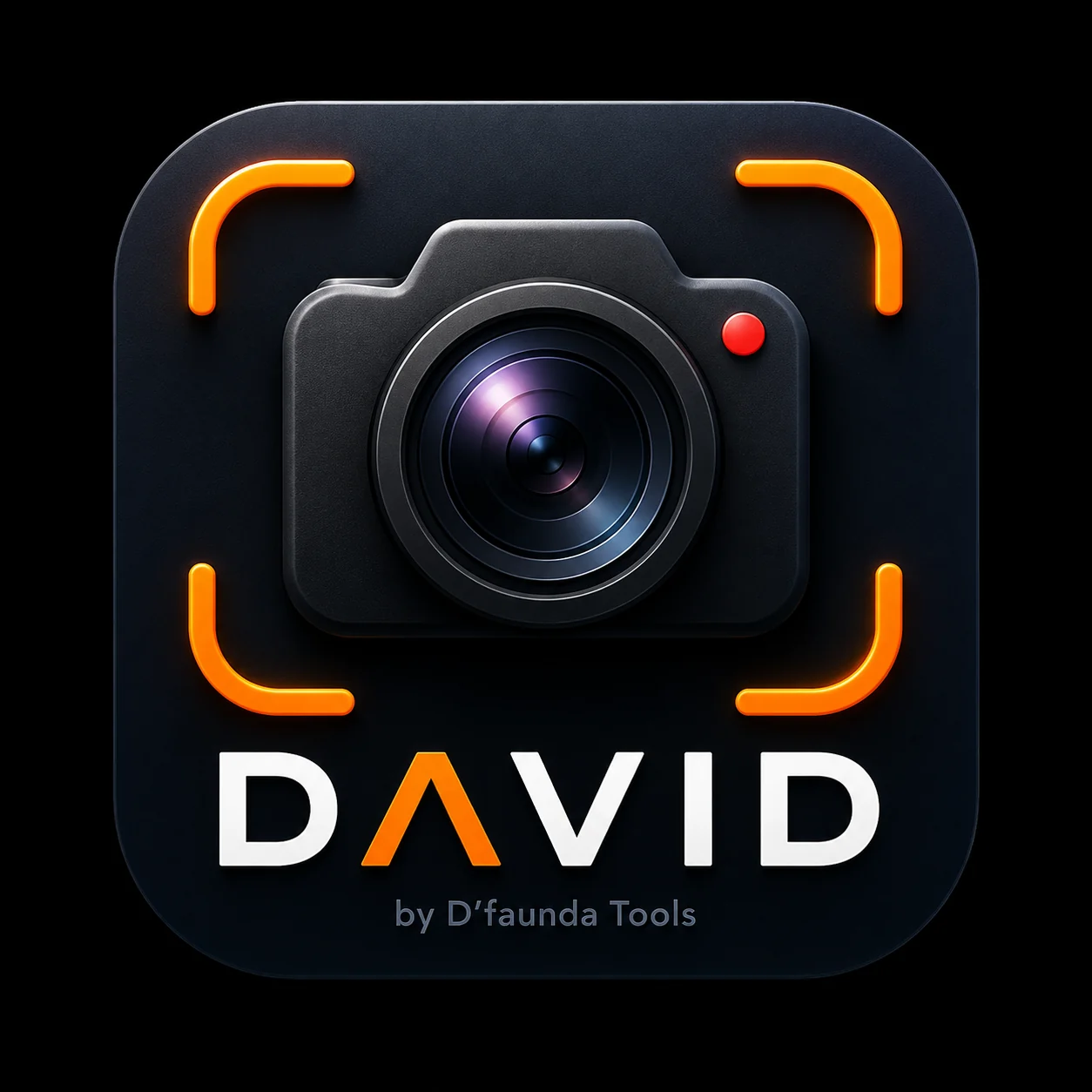 Logo DAVID